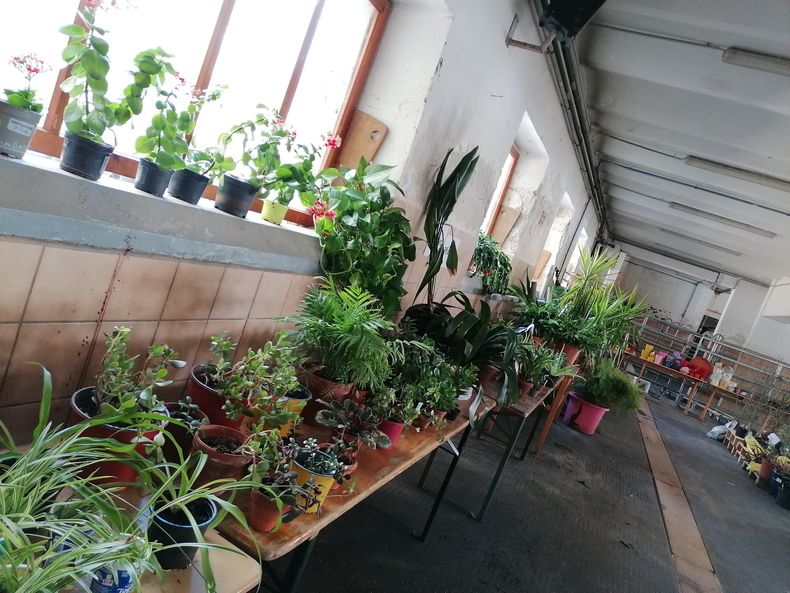 IMG 20230422 105509.jpg