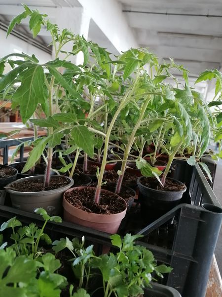 IMG 20230422 105528.jpg