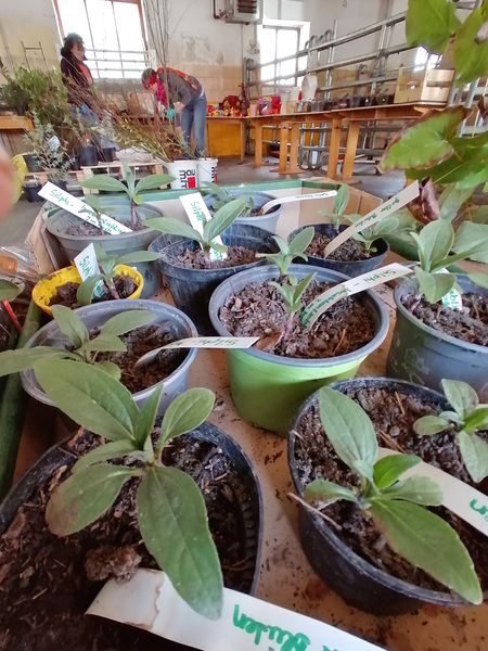 IMG 20230422 110855 edit 485158192342633.jpg