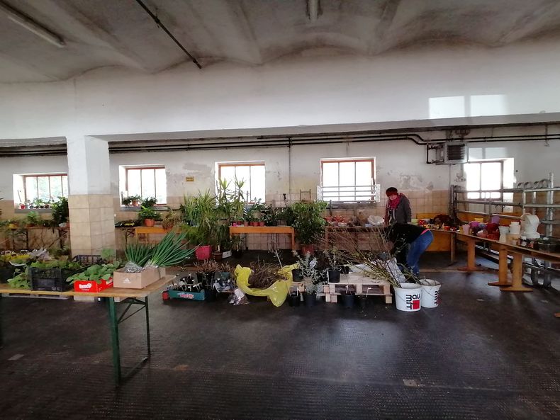 IMG 20230422 110910.jpg