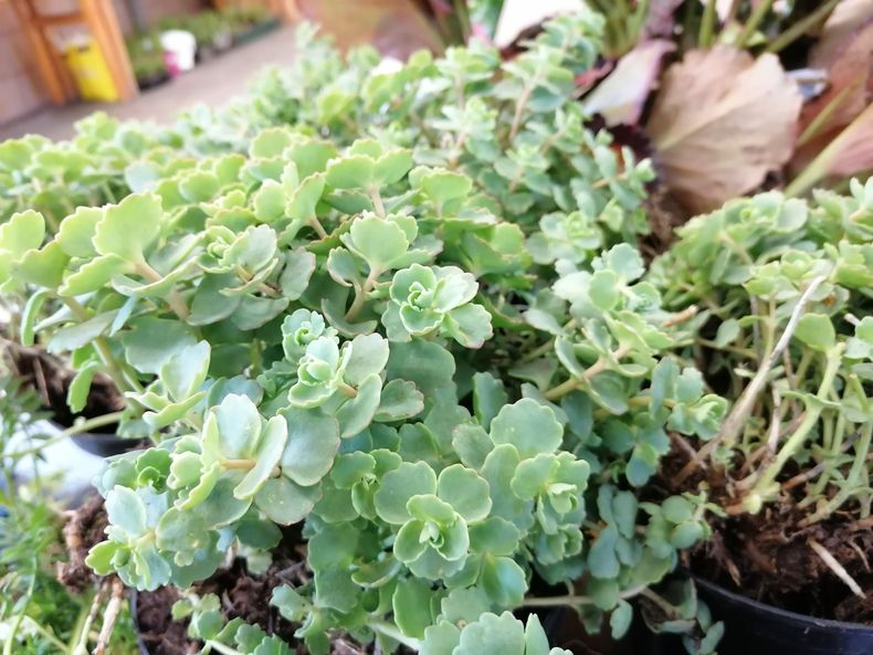 IMG 20230422 121301 edit 485188601300962.jpg