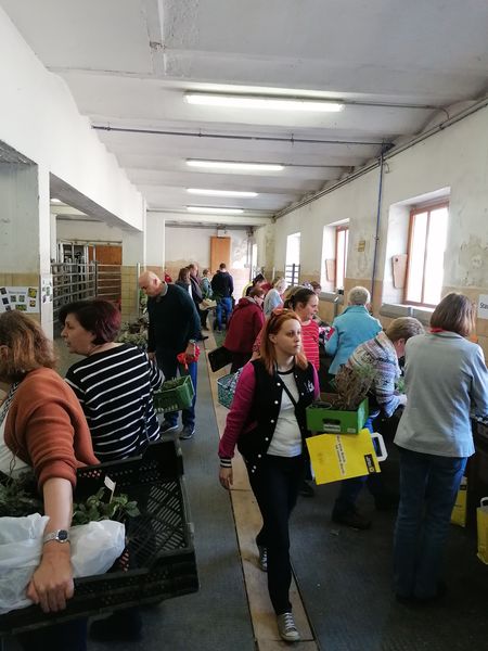 IMG 20230422 142702.jpg