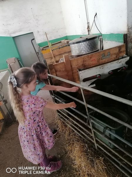 Frühlingswanderung 3.jpg