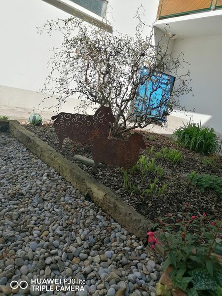 Frühlingswanderung 5.jpg