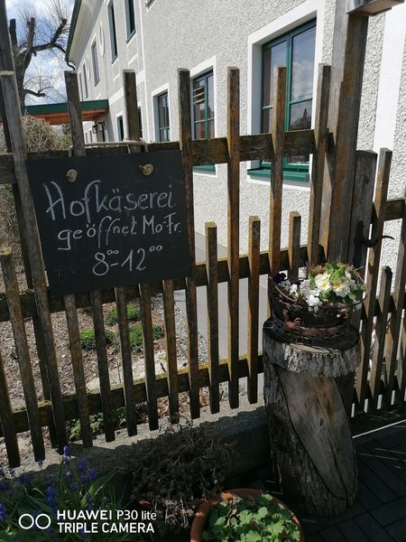 Frühlingswanderung 6.jpg