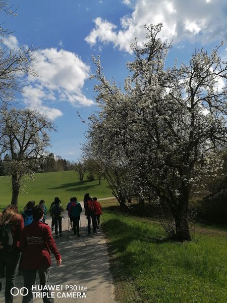 Frühlingswanderung 7.jpg