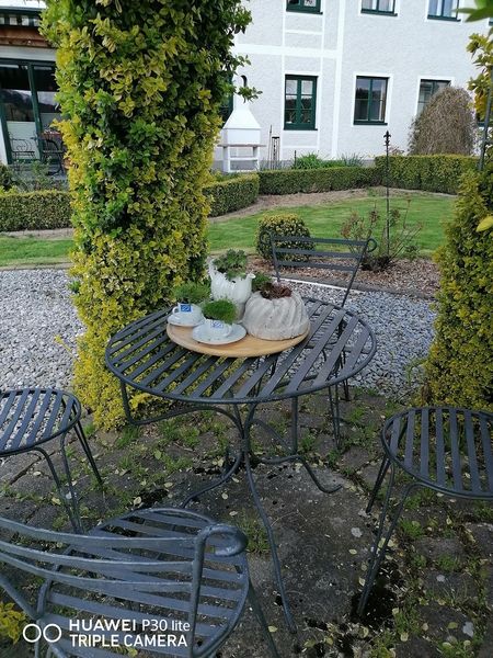 Frühlingswanderung 8.jpg