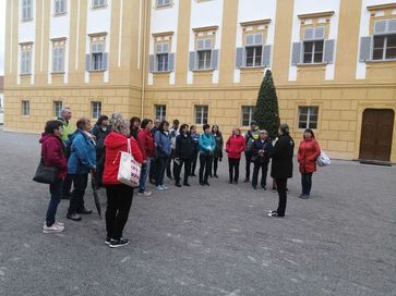 [1682512535256339.jpg]