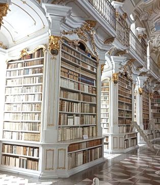 [1682661761483785.jpg]