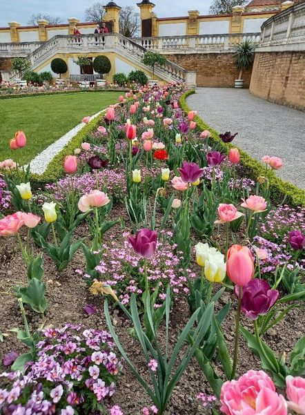 facebook 1683131847162 7059566639080026344.jpg