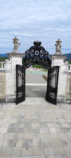 FB IMG 1683140398709.jpg