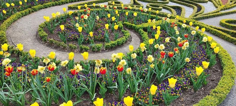 FB IMG 1683140465909.jpg