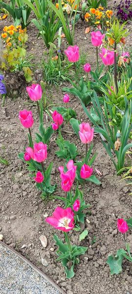 FB IMG 1683140486246.jpg