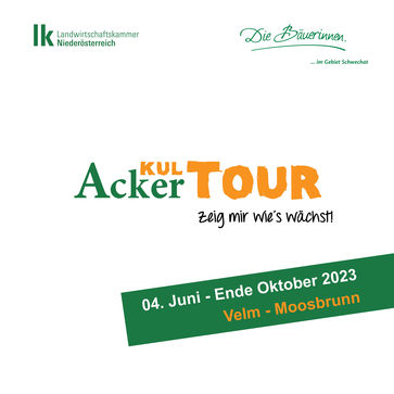 [168331465735436.jpg]