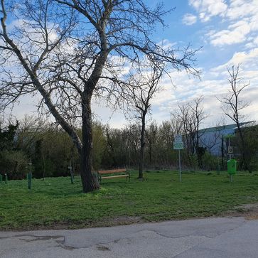 [1684161590632448.jpg]