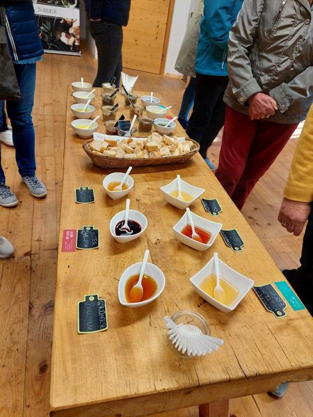 2023 Exkursion Eggenburg und Retzer Land