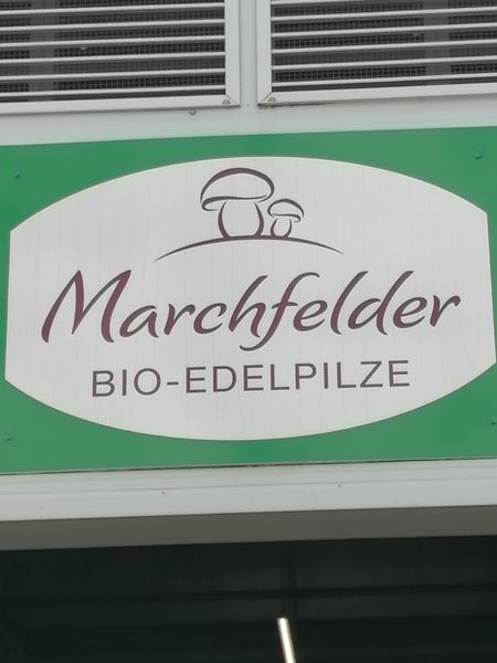 IMG 20230510 120524.jpg IMG 20230510 120524.jpg