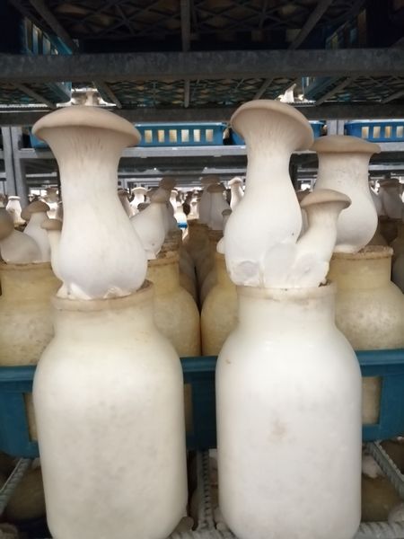 IMG 20230510 120656.jpg IMG 20230510 120656.jpg