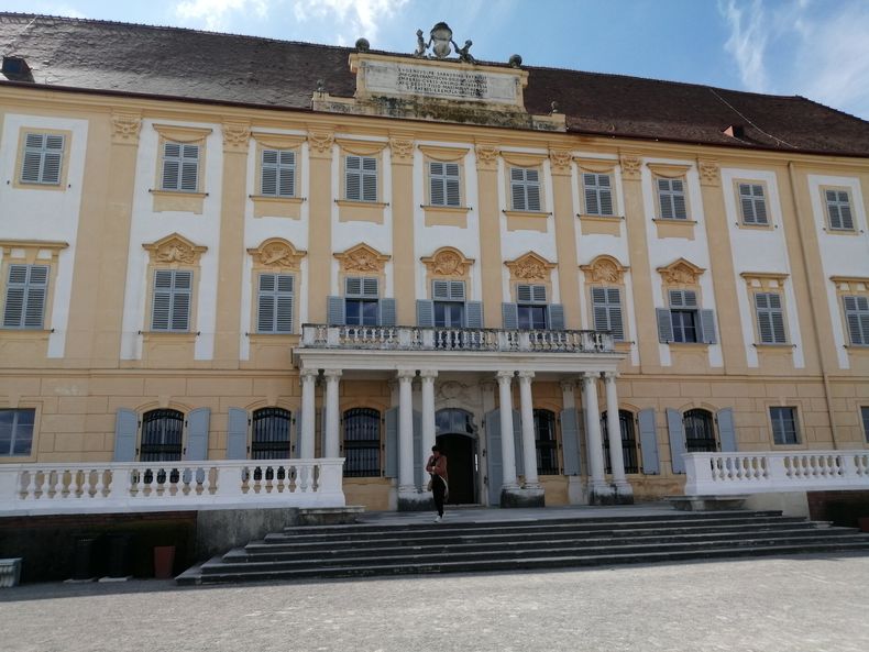 IMG 20230510 151030.jpg