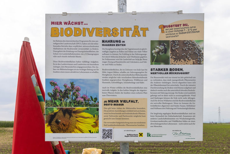 Eröffnung der AckerkulTOUR 2023 ©&nbsp;Die Bäuerinnen im Gebiet Schwechat