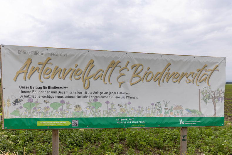 Eröffnung der AckerkulTOUR 2023 ©&nbsp;Die Bäuerinnen im Gebiet Schwechat