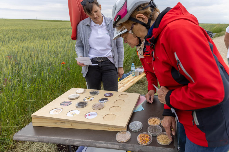 Eröffnung der AckerkulTOUR 2023 ©&nbsp;Die Bäuerinnen im Gebiet Schwechat