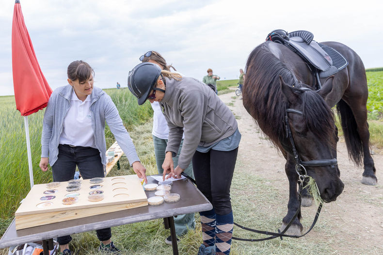 Eröffnung der AckerkulTOUR 2023 ©&nbsp;Die Bäuerinnen im Gebiet Schwechat