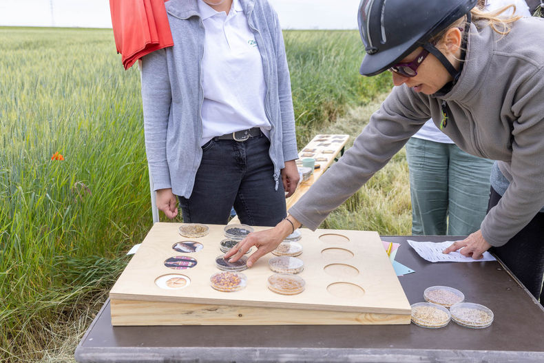 Eröffnung der AckerkulTOUR 2023 ©&nbsp;Die Bäuerinnen im Gebiet Schwechat