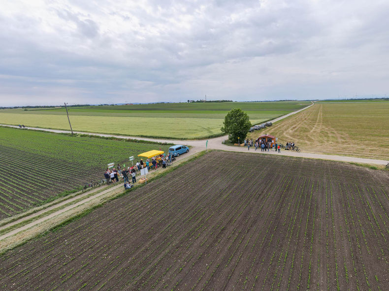 Eröffnung der AckerkulTOUR 2023 ©&nbsp;Die Bäuerinnen im Gebiet Schwechat