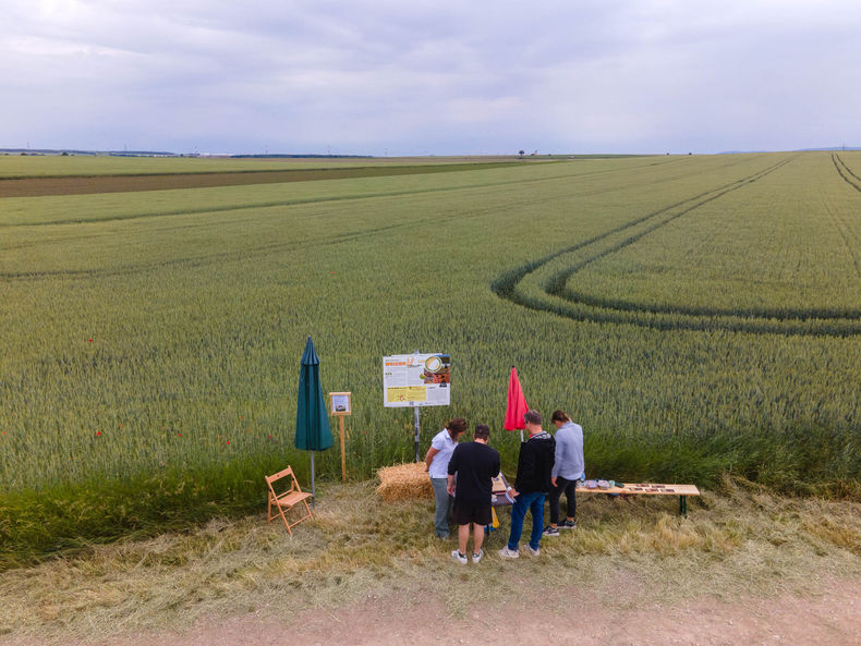Eröffnung der AckerkulTOUR 2023 © Die Bäuerinnen im Gebiet Schwechat Eröffnung der AckerkulTOUR 2023 © Die Bäuerinnen im Gebiet Schwechat