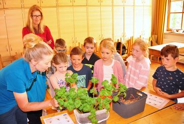 [168769914069715.jpg]