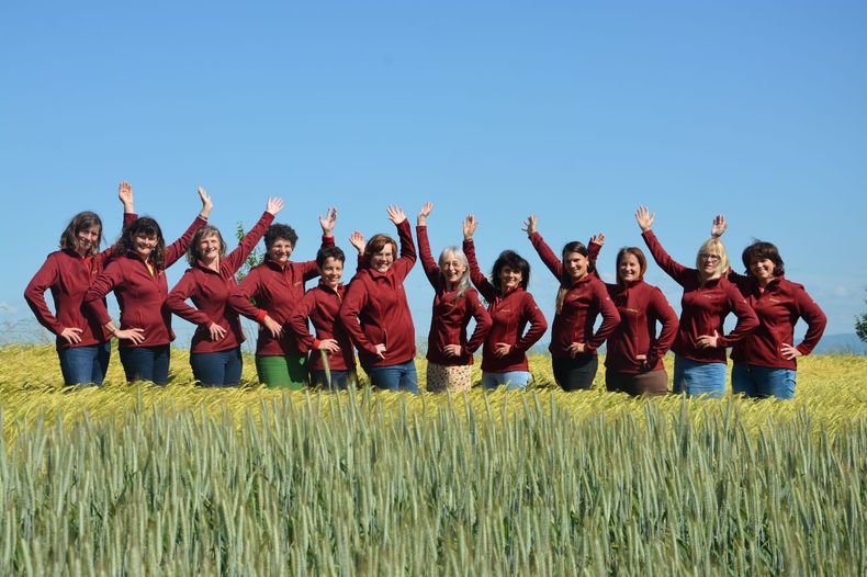 Neue Westen Obdf1.jpg