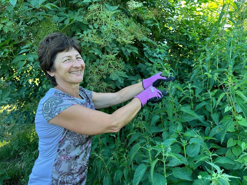 IMG-20230629-WA0003.jpg IMG-20230629-WA0003.jpg