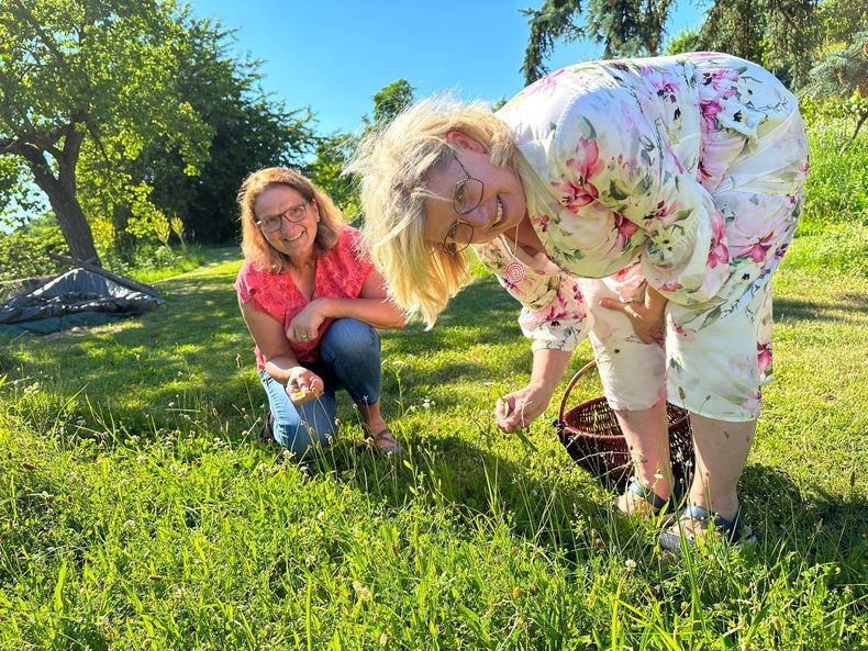 IMG-20230629-WA0004.jpg IMG-20230629-WA0004.jpg