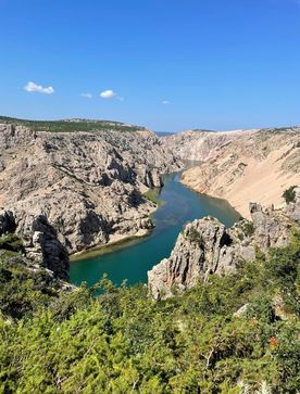 [1689239280220319.jpg]