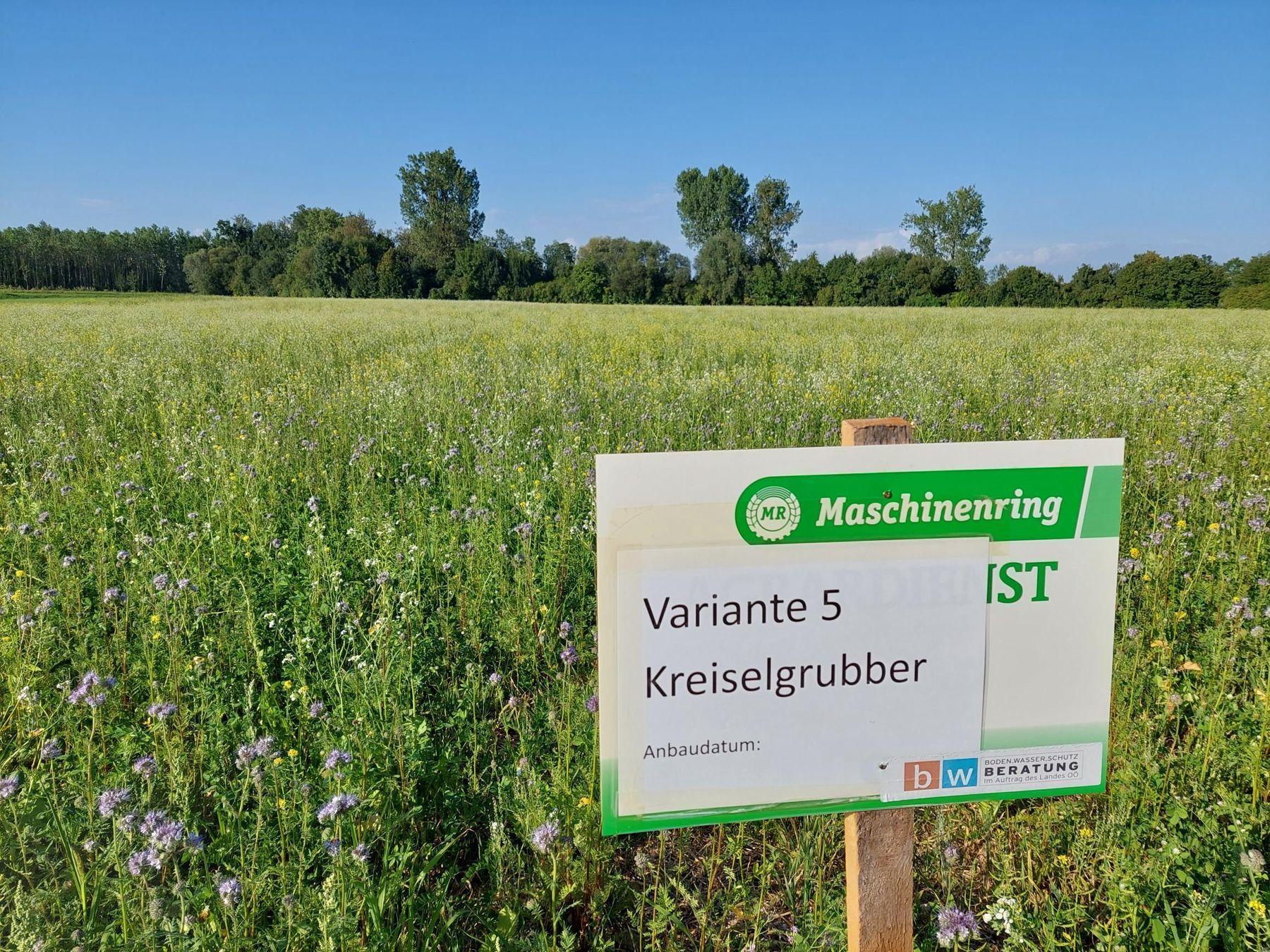 © BWSB/Wallner