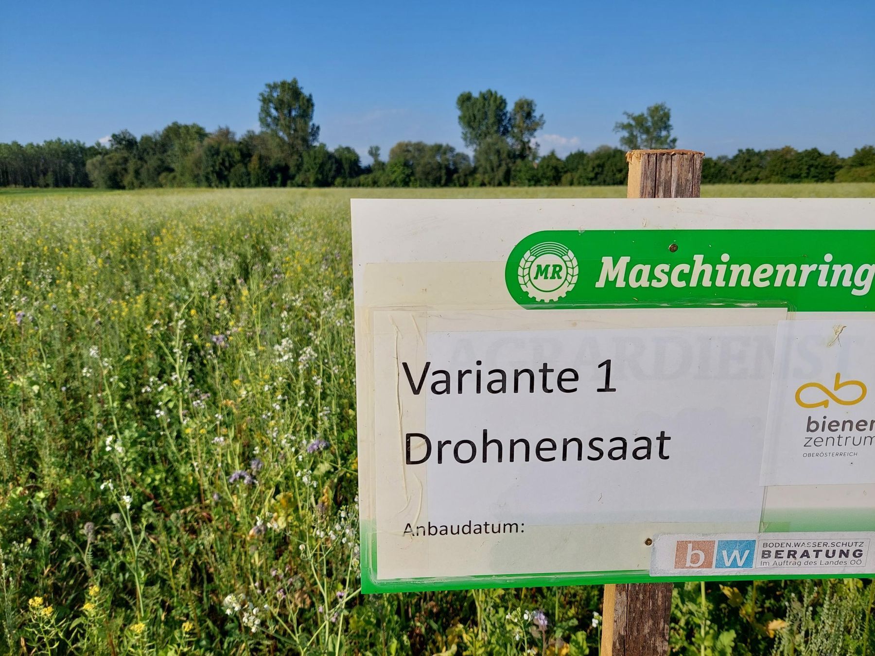 © BWSB/Wallner