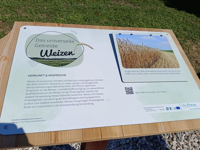 IMG 20230820 110622.jpg IMG 20230820 110622.jpg