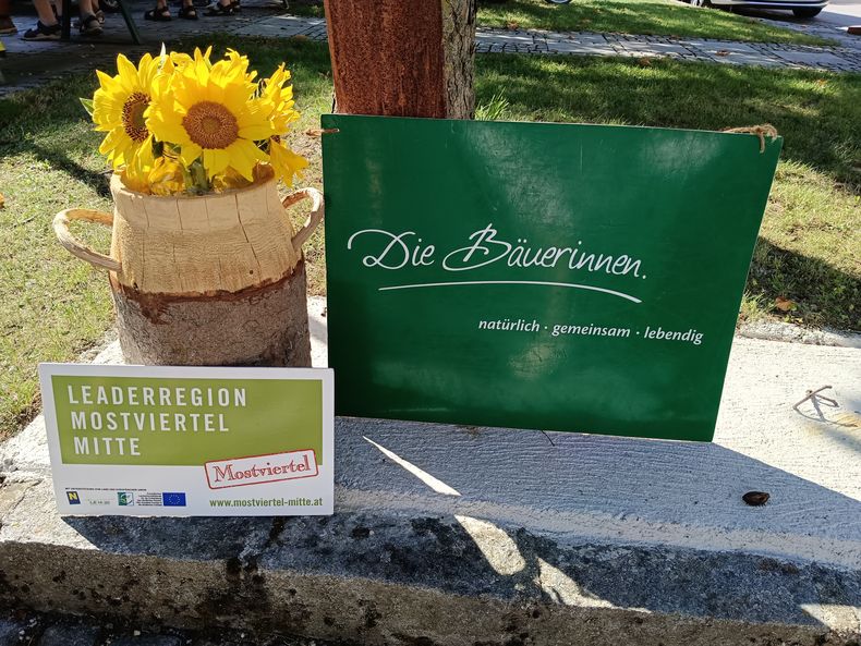 IMG 20230820 102821.jpg