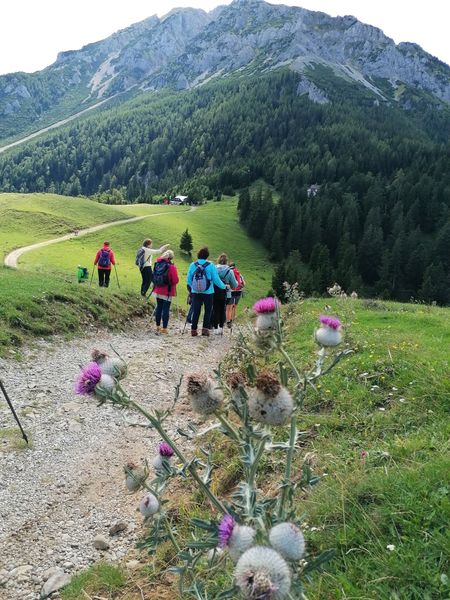 IMG 20230831 132200 edit 276924061928055 resized 20230831 053618684.jpg