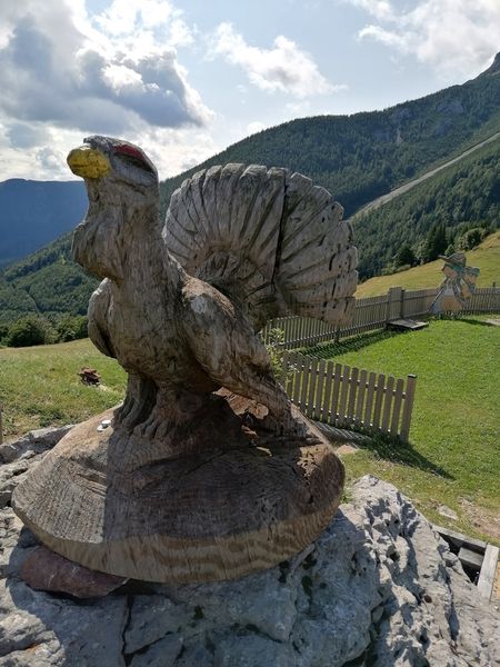 IMG 20230831 110700 edit 277133709040523.jpg