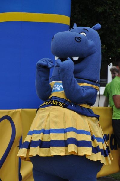 Frauenlauf 2023 ©&nbsp;LK NÖ/Unfried