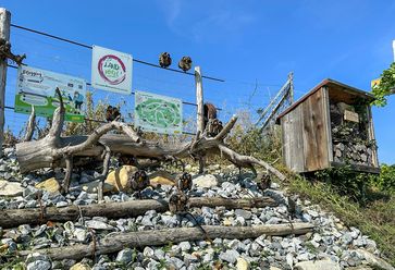 [169477340135938.jpg]