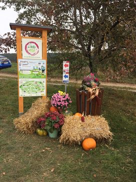 [1694774224101926.jpg]