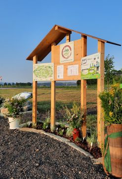 [1694774376433325.jpg]