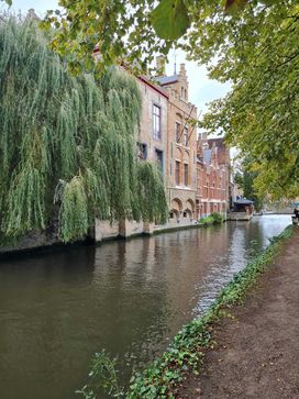 [1695835468282788.jpg]