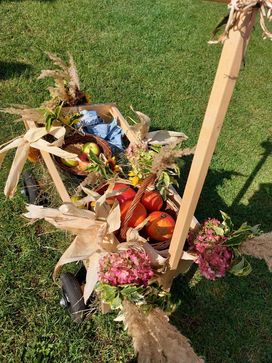 [1696226599769854.jpg]