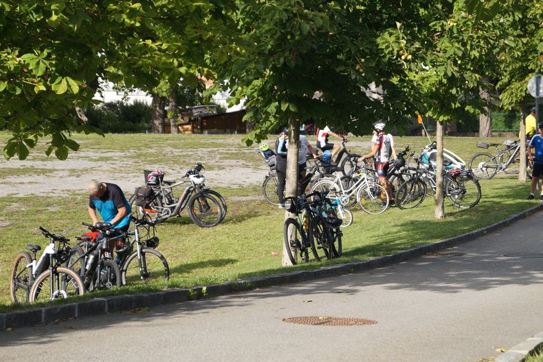 Raetselwandertag (15).jpg Raetselwandertag (15).jpg