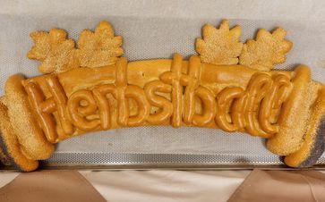 [1697631206404123.jpg]