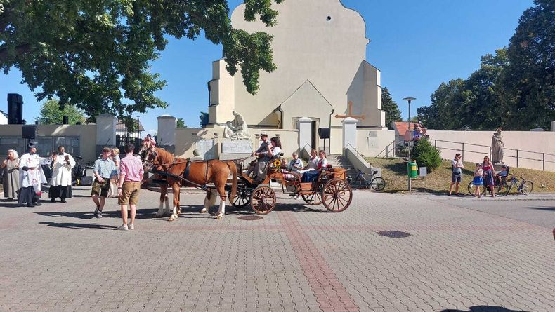 Trimmel Pferde.jpg Trimmel Pferde.jpg